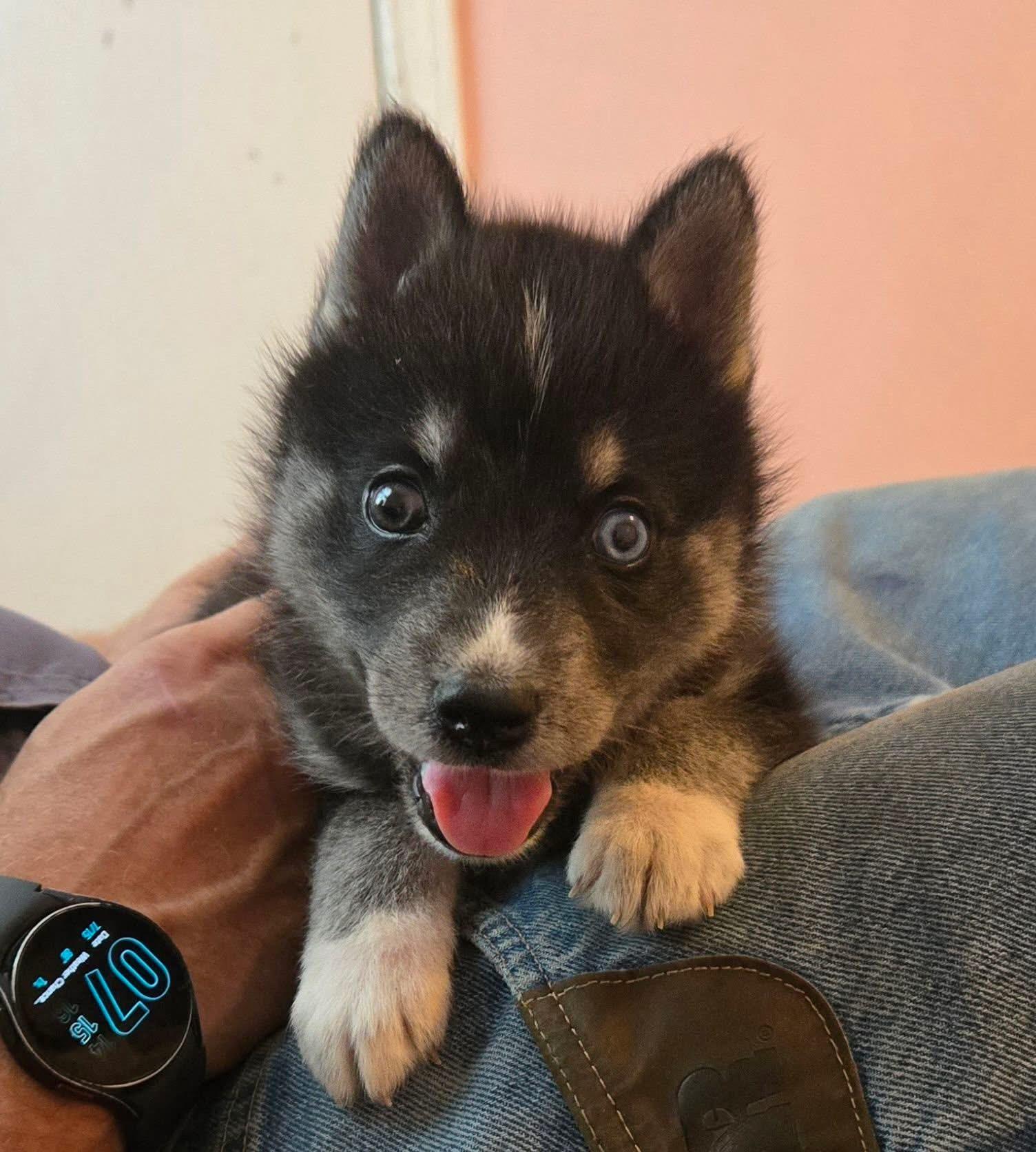 Nova! Beautiful little girl!