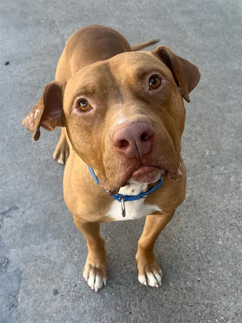 WINSTON — thumbnail 2