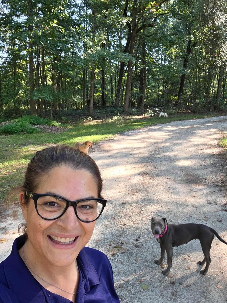 Enlarge Jess, a Adoptable mixed breed in Gillsville, GA image 2/6