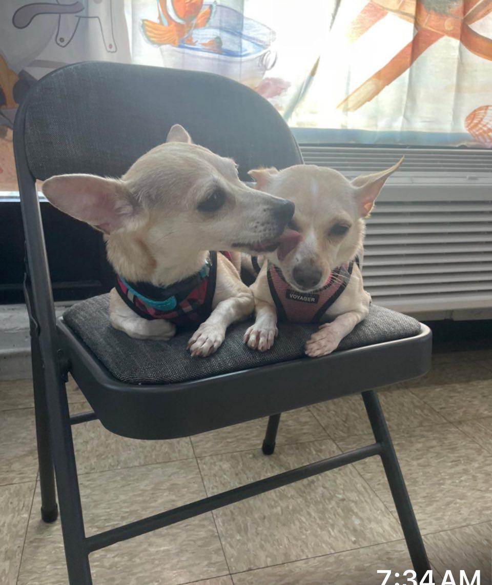 Nera and Bianca