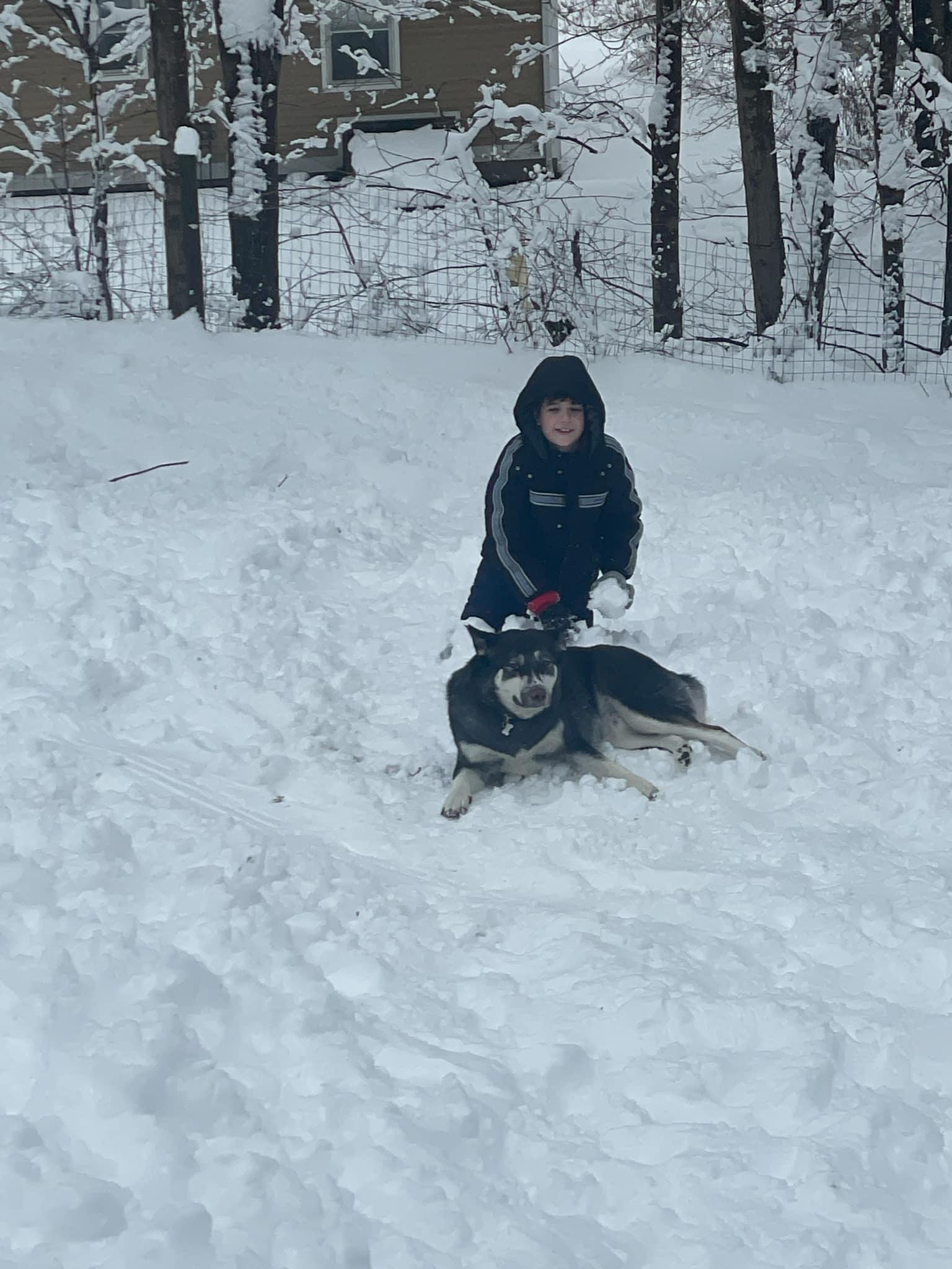 Nova, a ADOPTABLE mixed breed in New Milford, CT image 3/5