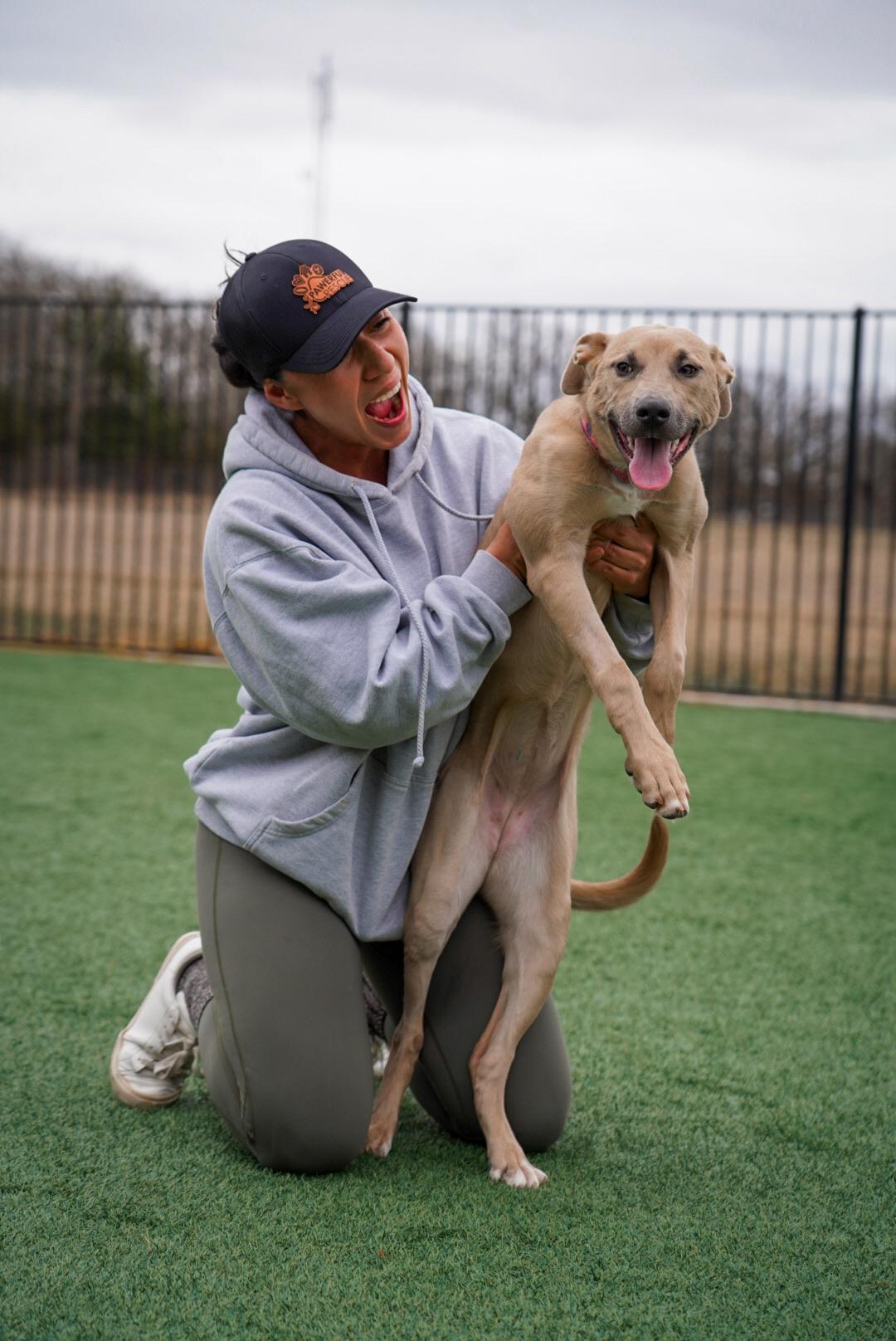 Enlarge Lina, a ADOPTABLE mixed breed in Mckinney, TX image 4/4