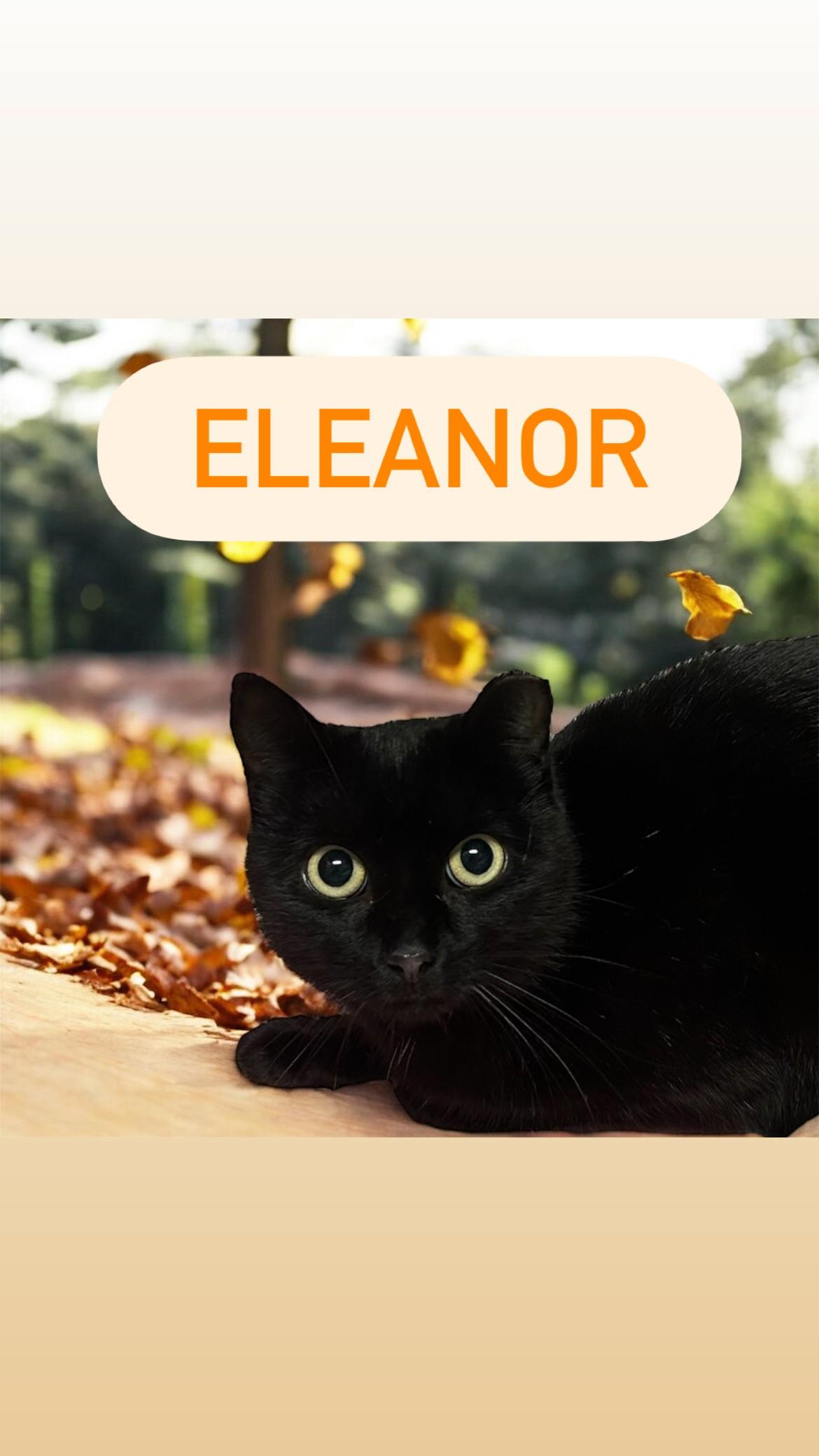 Eleanor