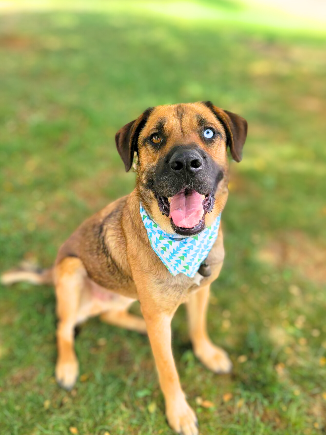 Duncan