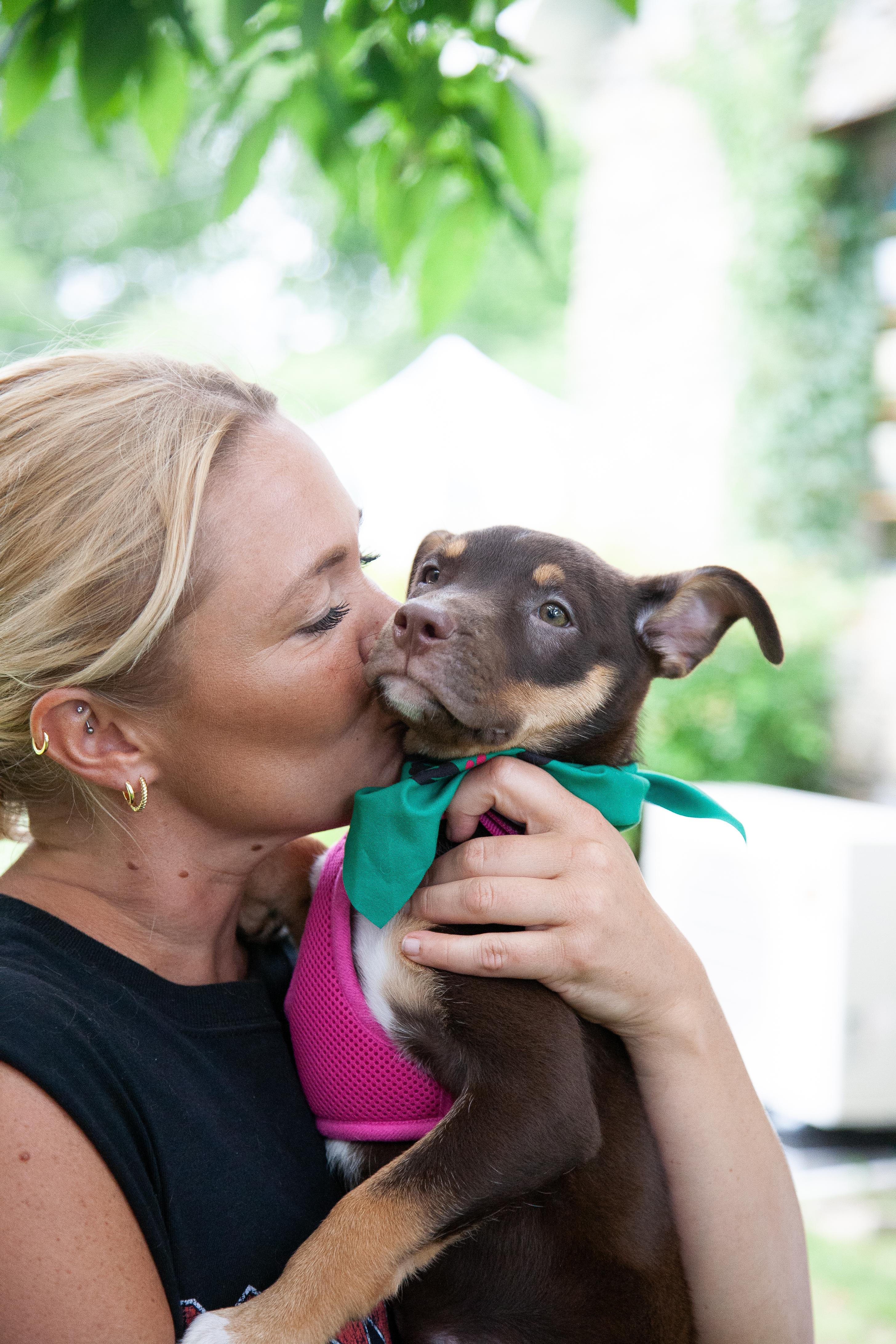 Enlarge Jessie, a ADOPTABLE Mixed Breed in Nashville, TN image 3/6
