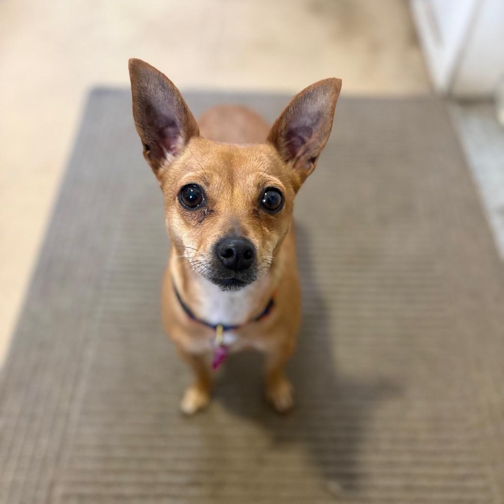 Itsy — thumbnail 2