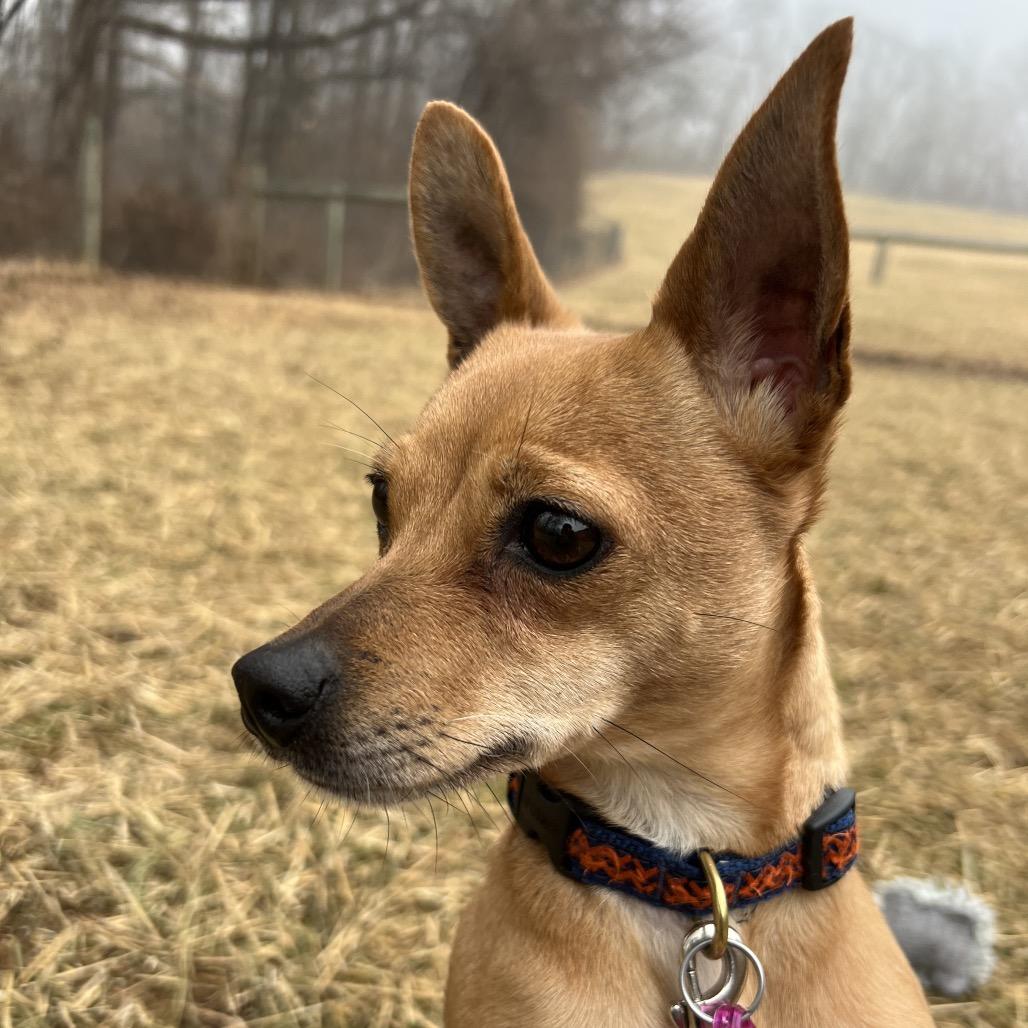 Itsy — thumbnail 4