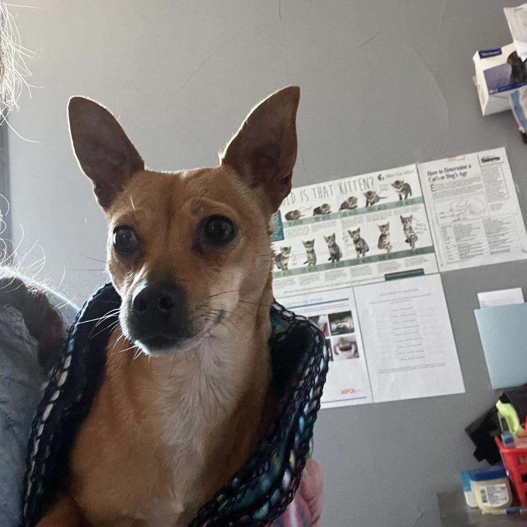 Itsy — thumbnail 5