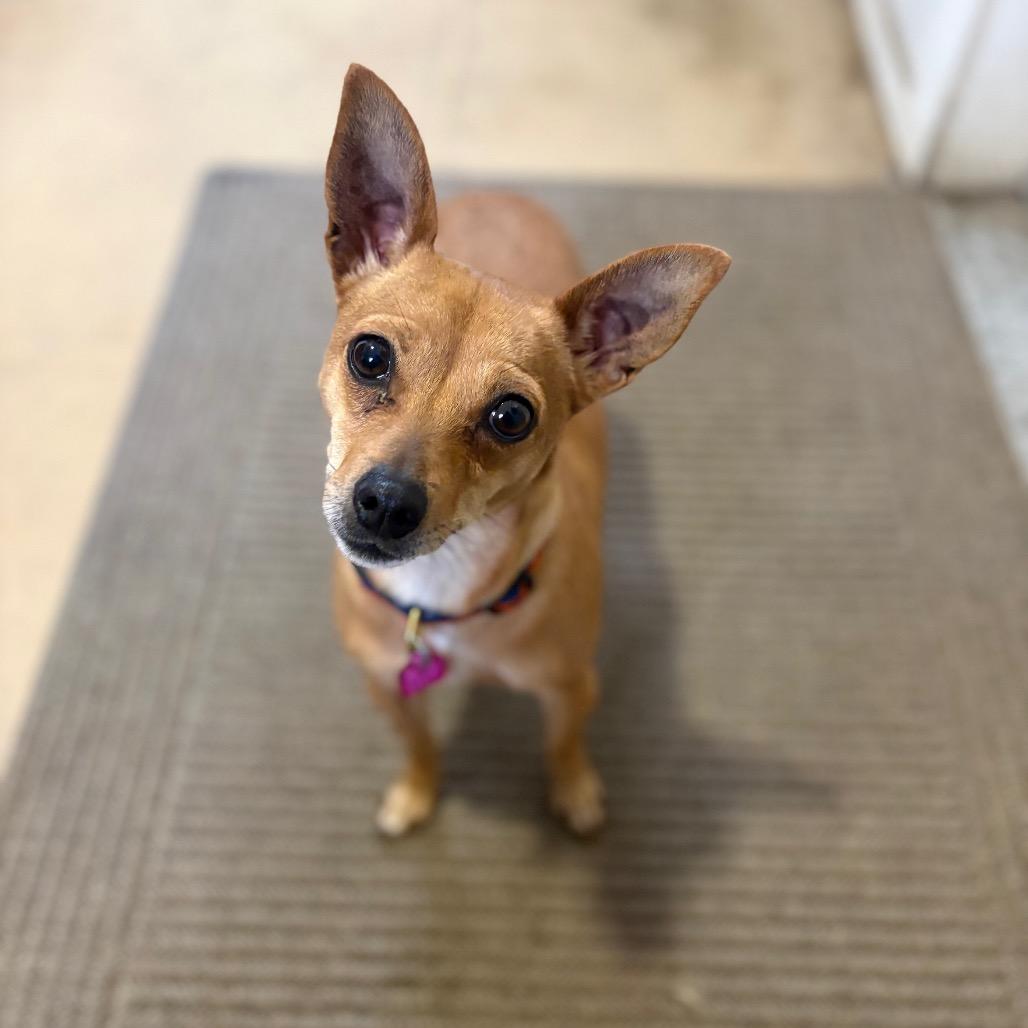 Itsy — thumbnail 6