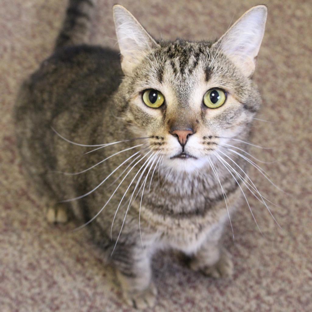 Bobby — thumbnail 5