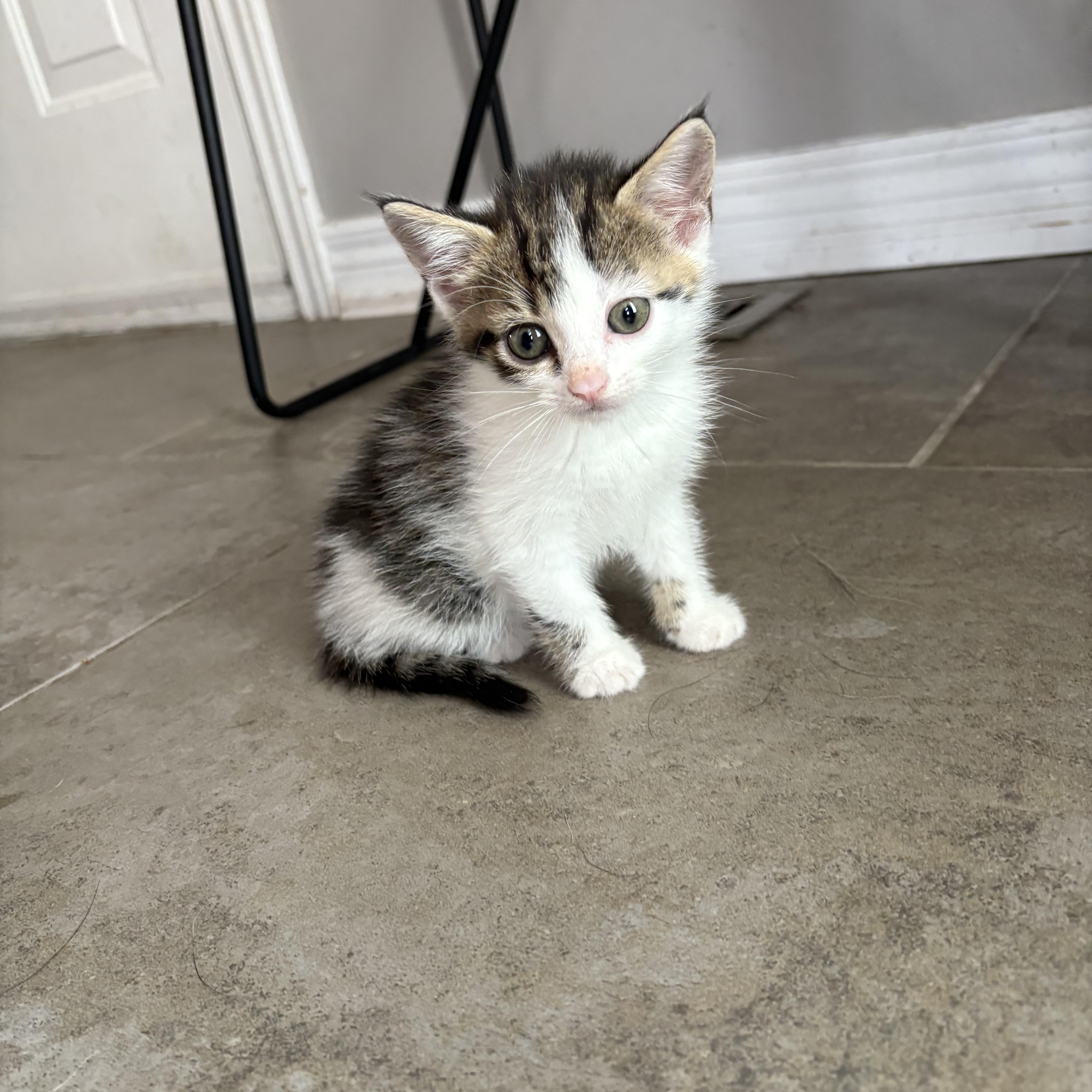 Sebastian