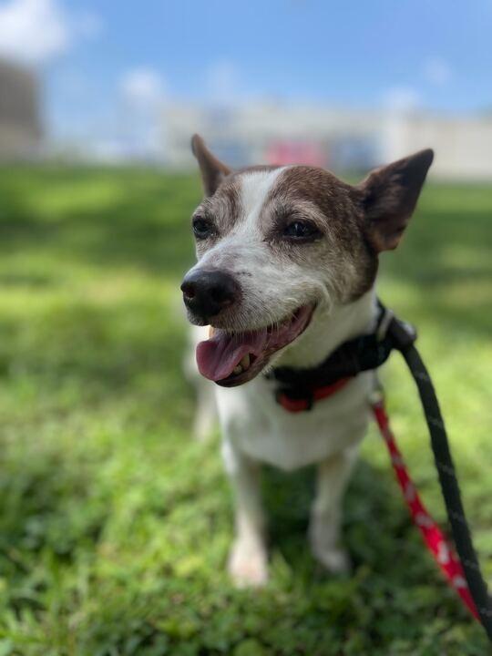 Rosita (In Foster)