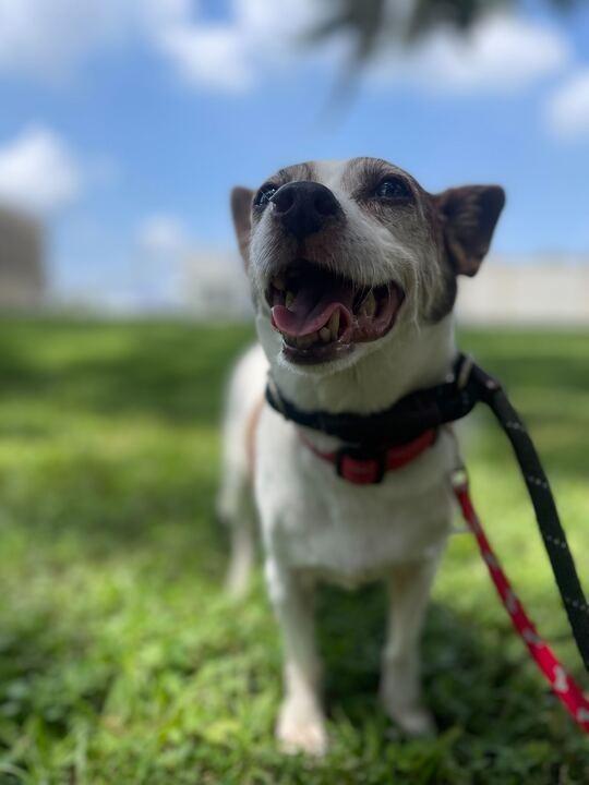 Rosita (In Foster)
