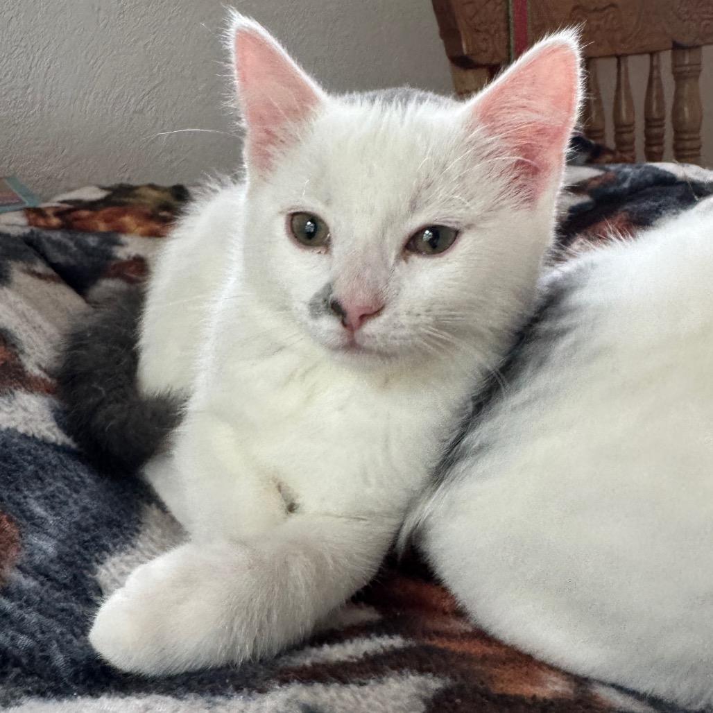 Smudge photo