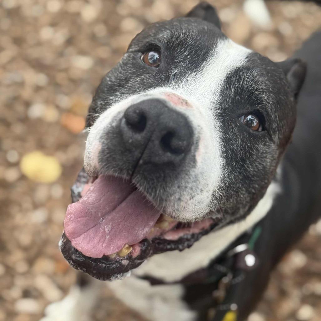 Deuce — thumbnail 2