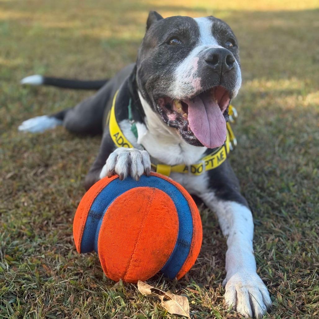 Deuce — thumbnail 6