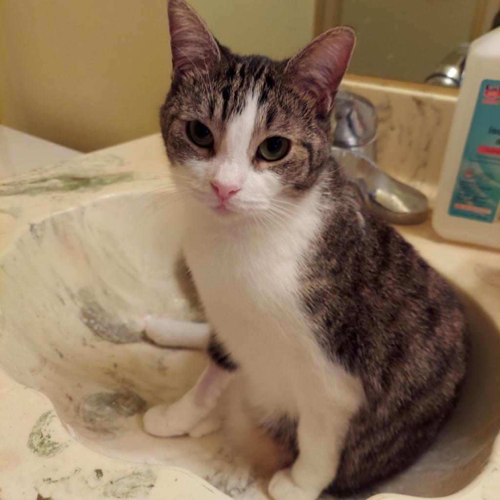 Cleo — thumbnail 3