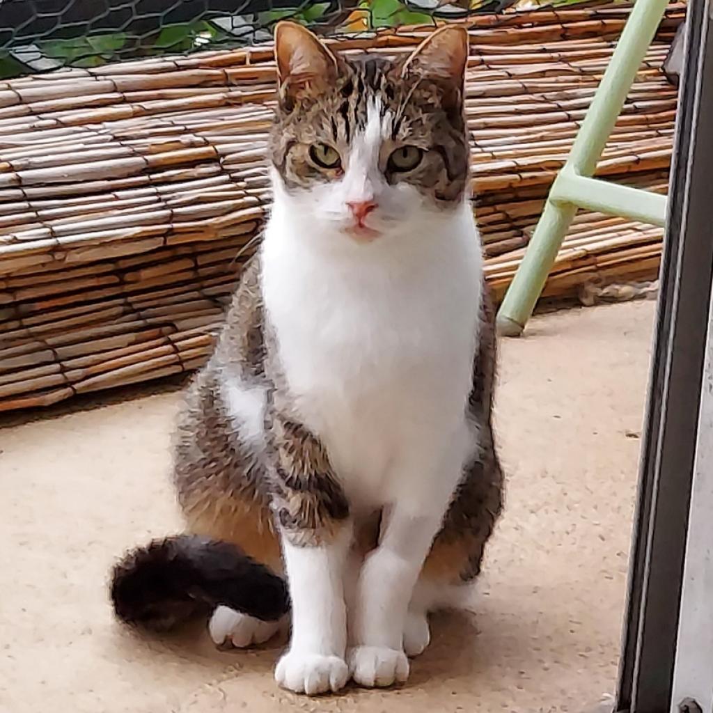 Cleo — thumbnail 5