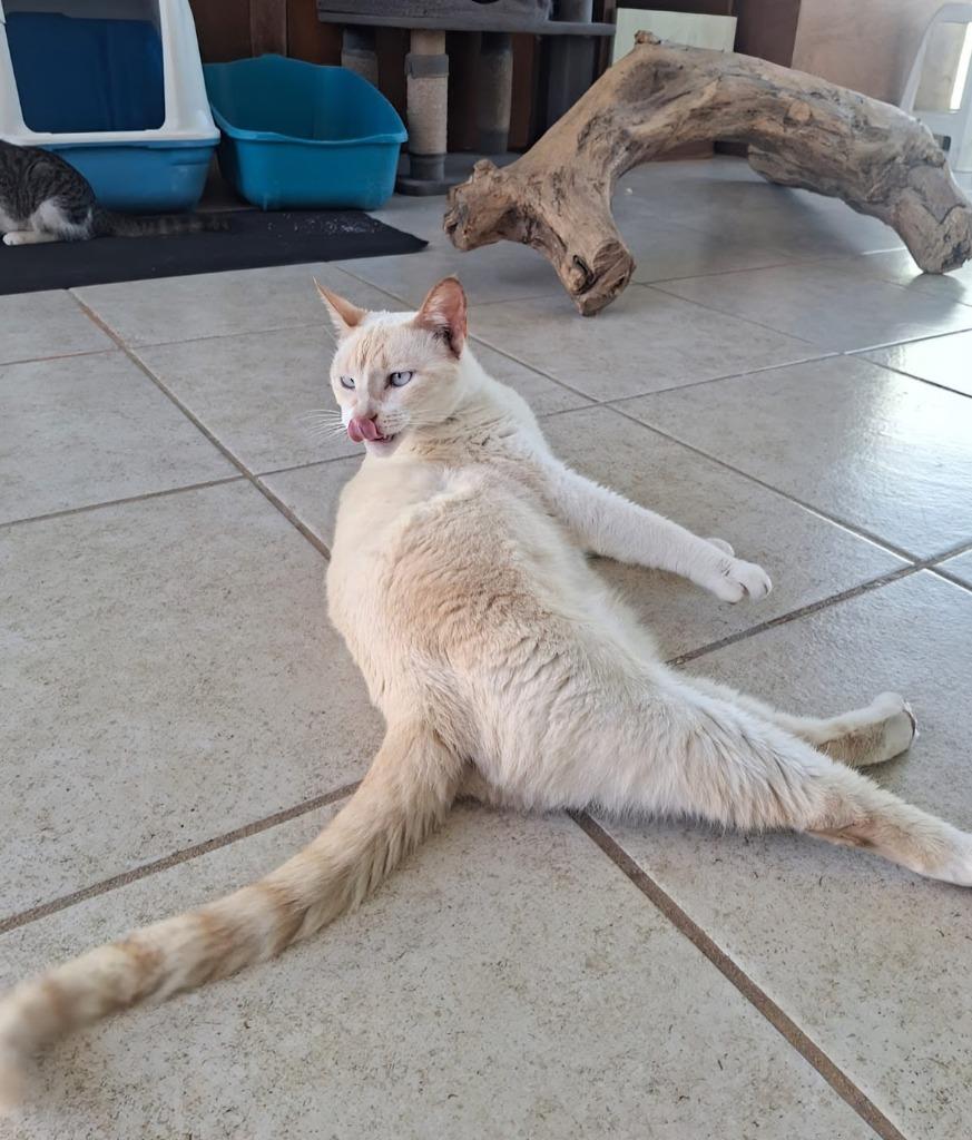 Heidi — thumbnail 3