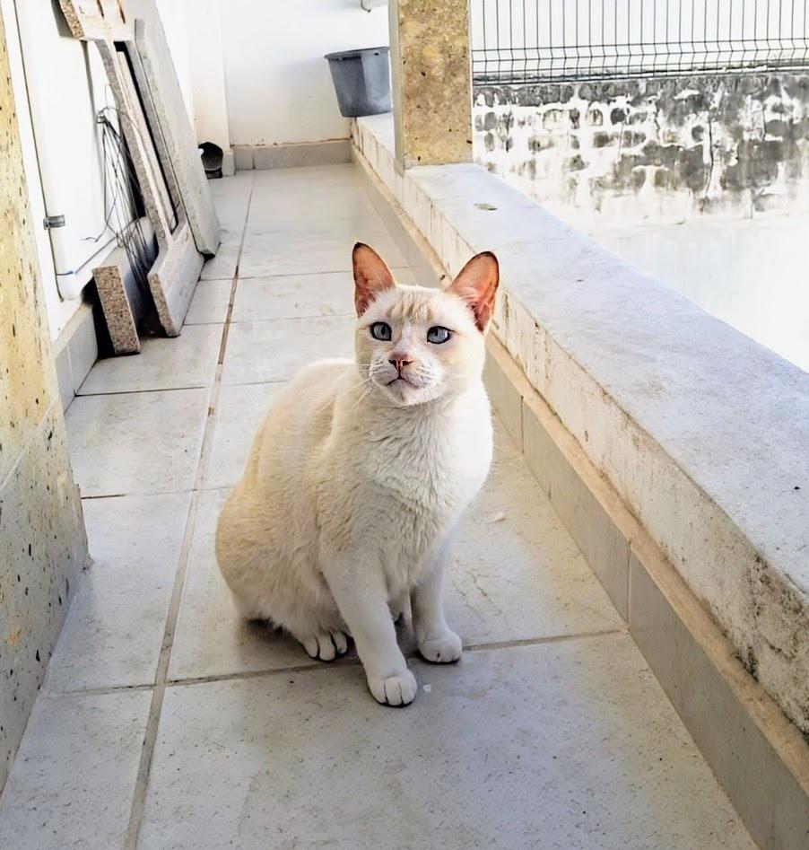 Heidi — thumbnail 4