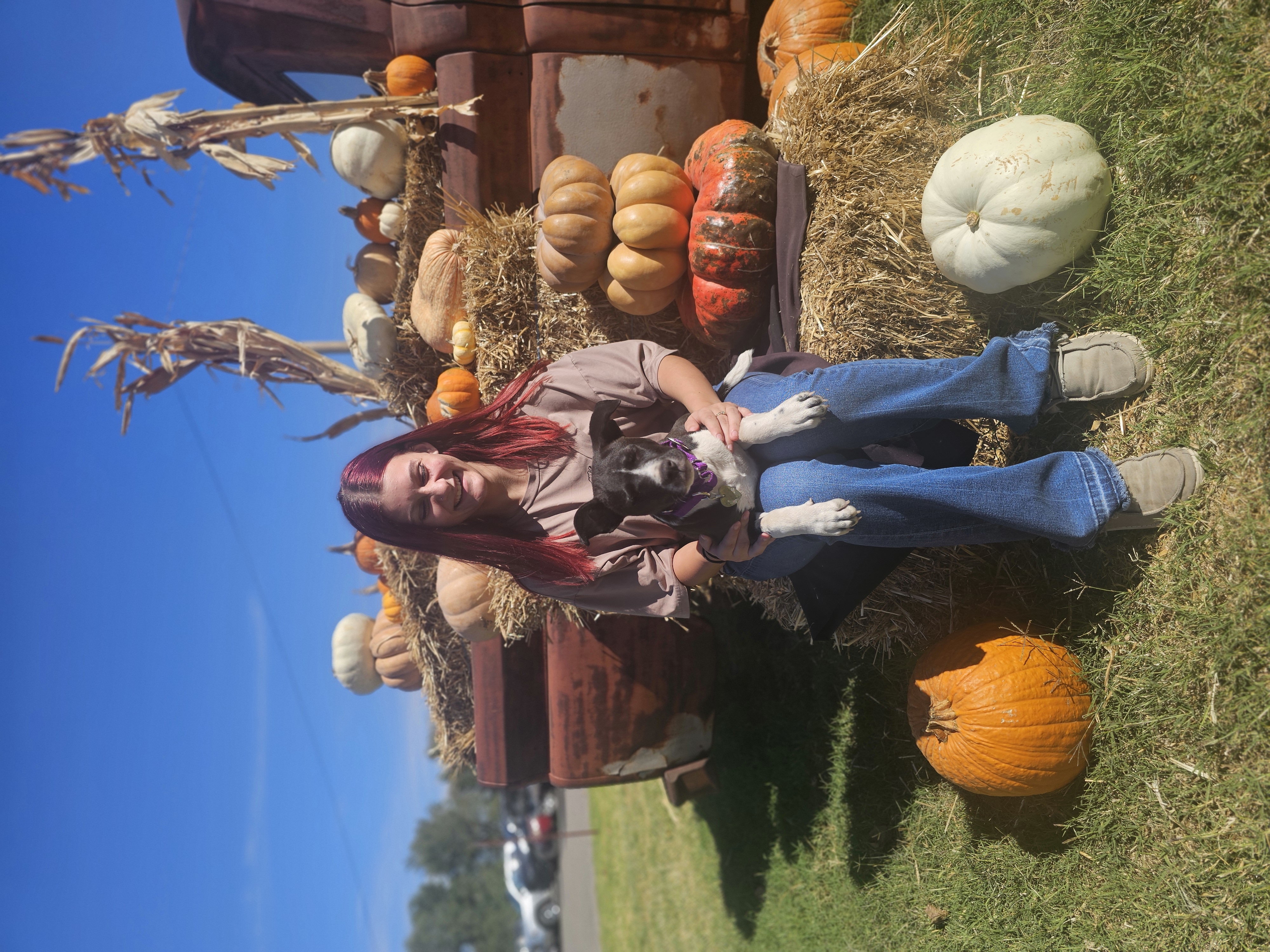 Rosalind, a Adoptable Pit Bull Terrier in Newcastle, OK image 3/6