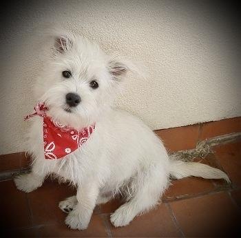Ben Aka Benny Boy!