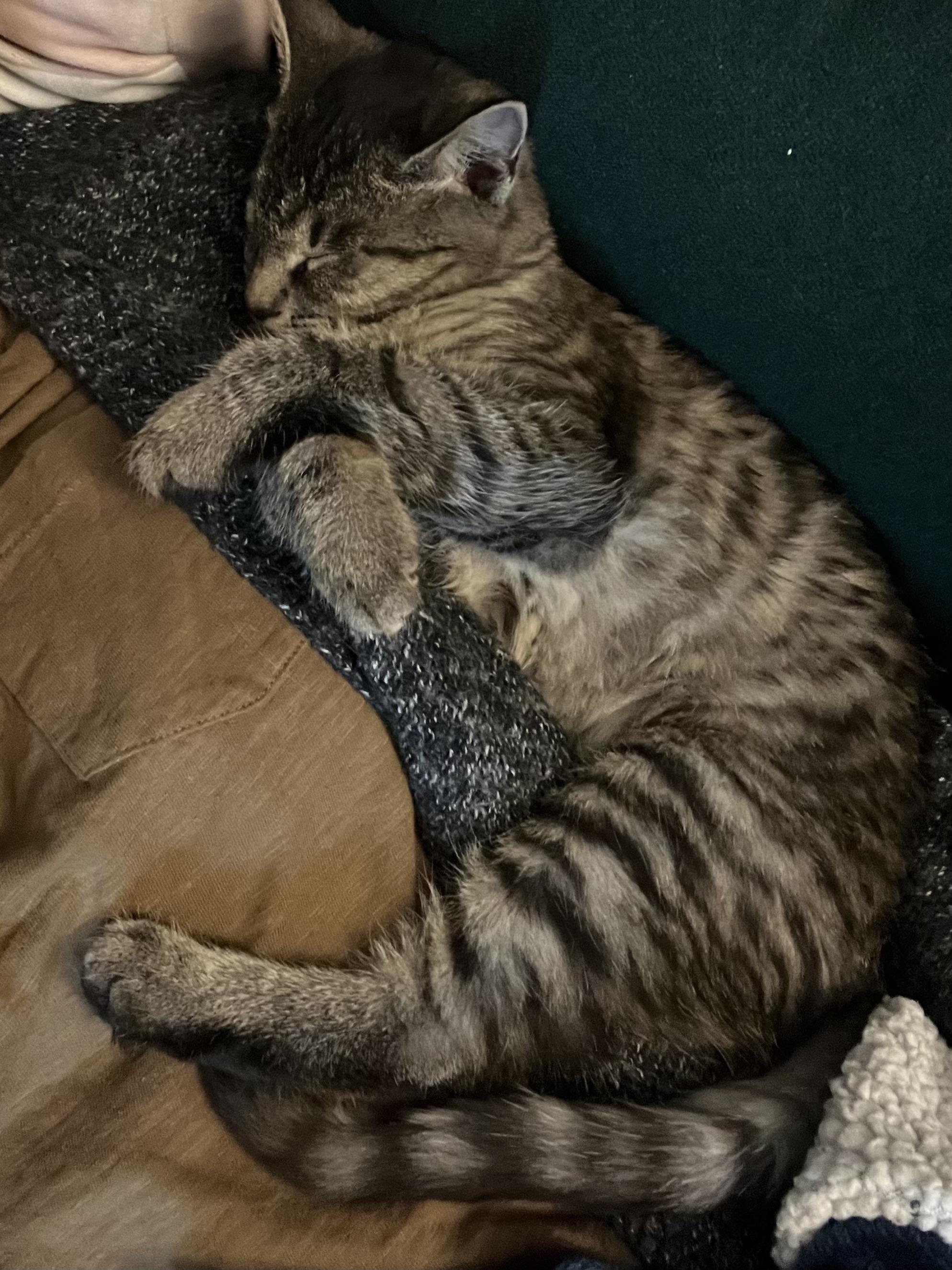 Leela B James  thumbnail 5