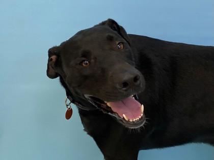 Buddy photo