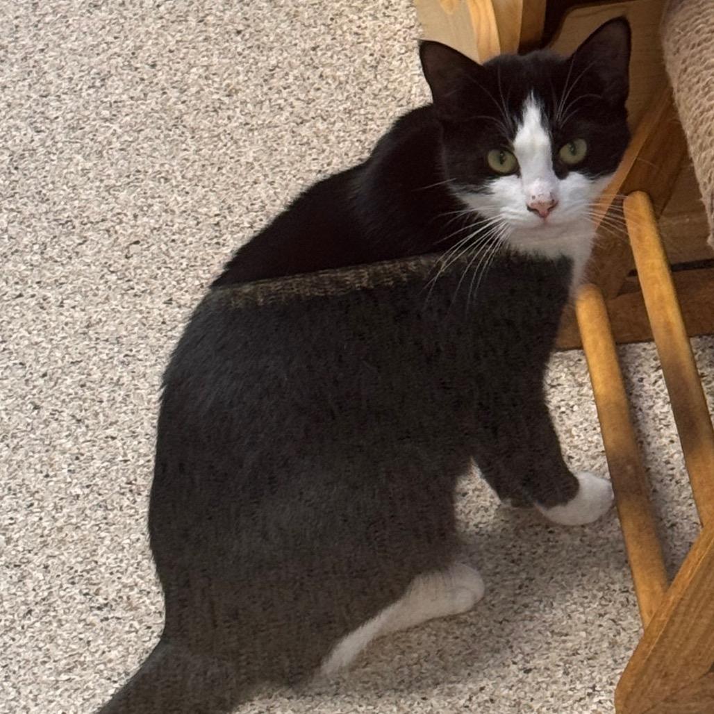 Ember — thumbnail 2