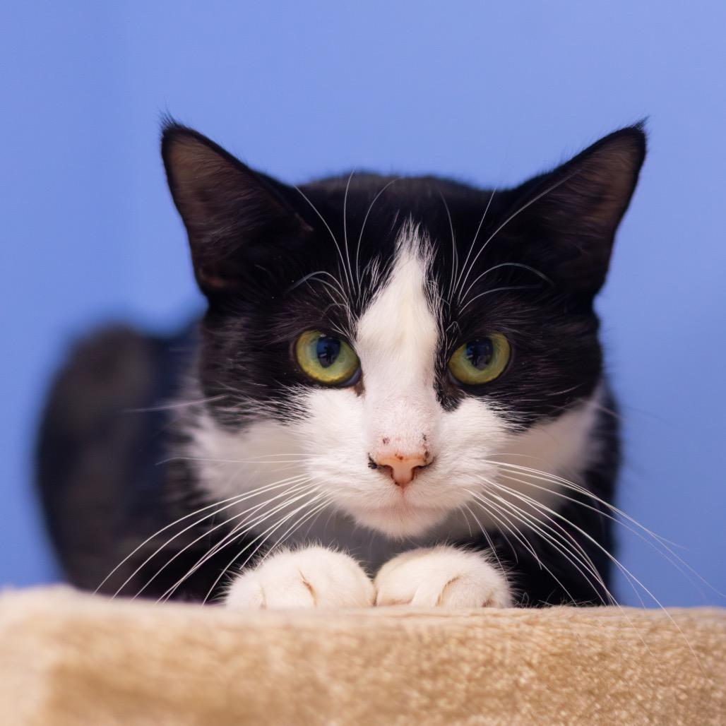 Ember — thumbnail 4