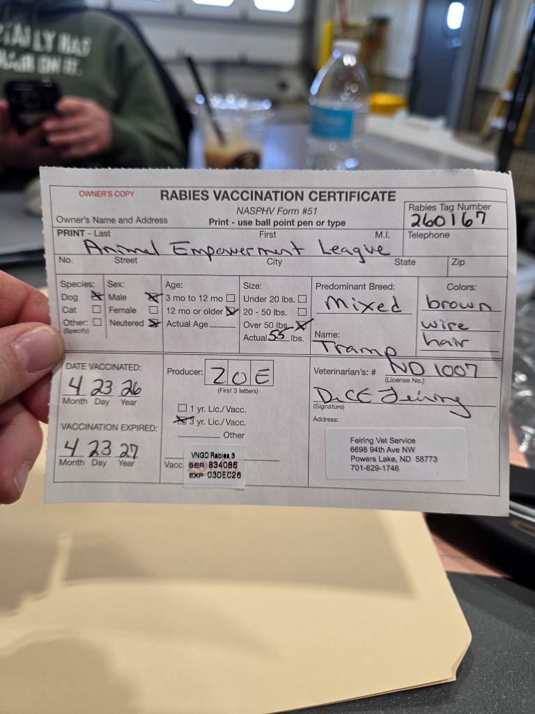 Enlarge Tramp 26-9534, a Adoptable mixed breed in Minot, ND image 1/2