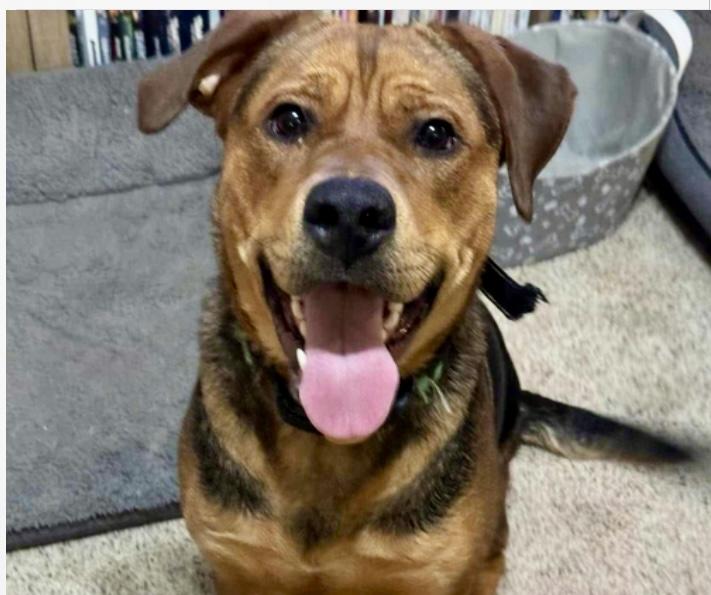 SNICKERS….super sweet girl!!!