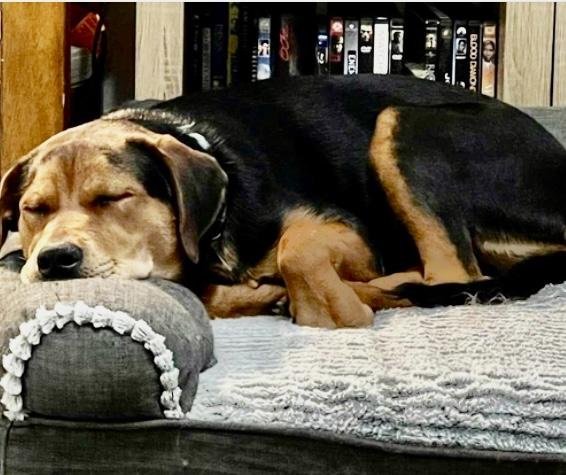 SNICKERS….super sweet girl!!!