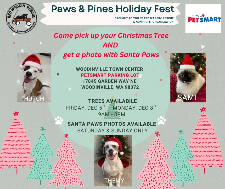 Lynden - Young, Resilient, and Ready to Thrive!