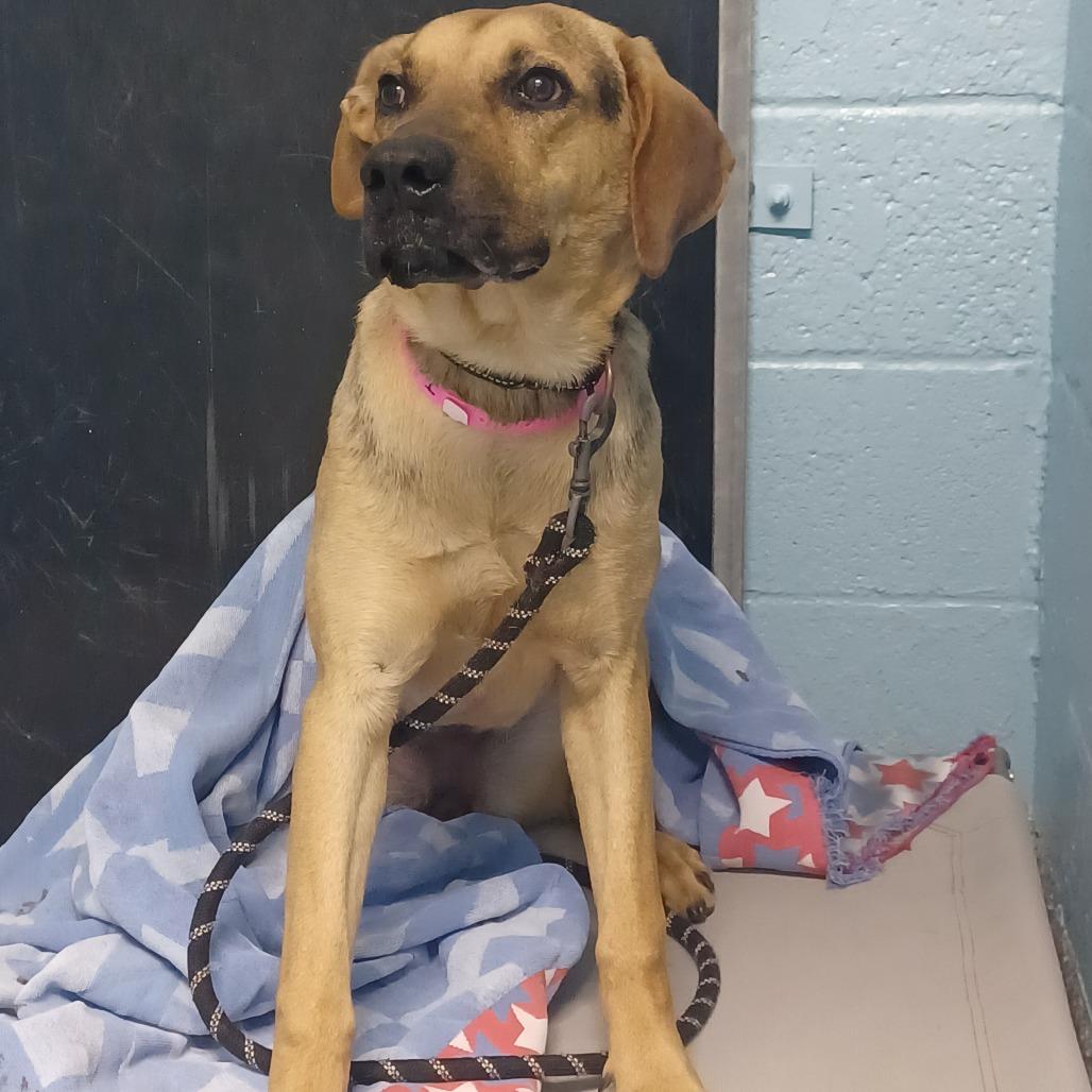 Jenny From The Block