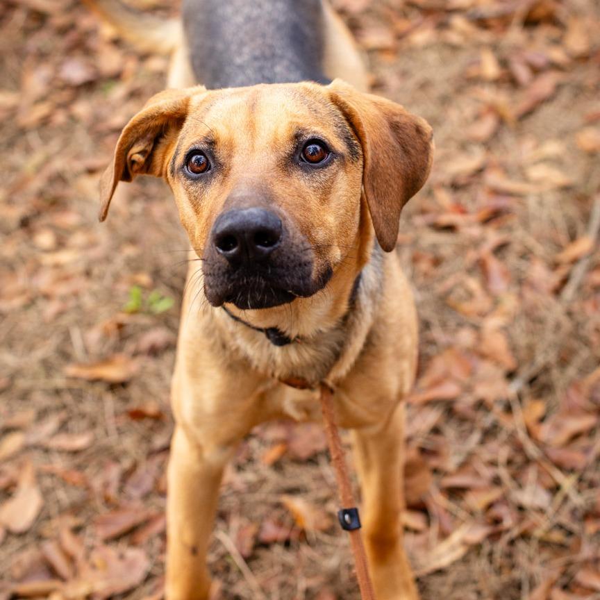 Jenny From The Block thumbnail 3