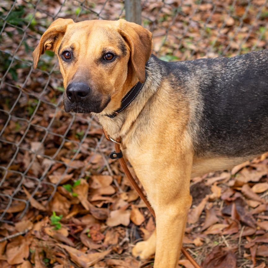 Jenny From The Block thumbnail 4