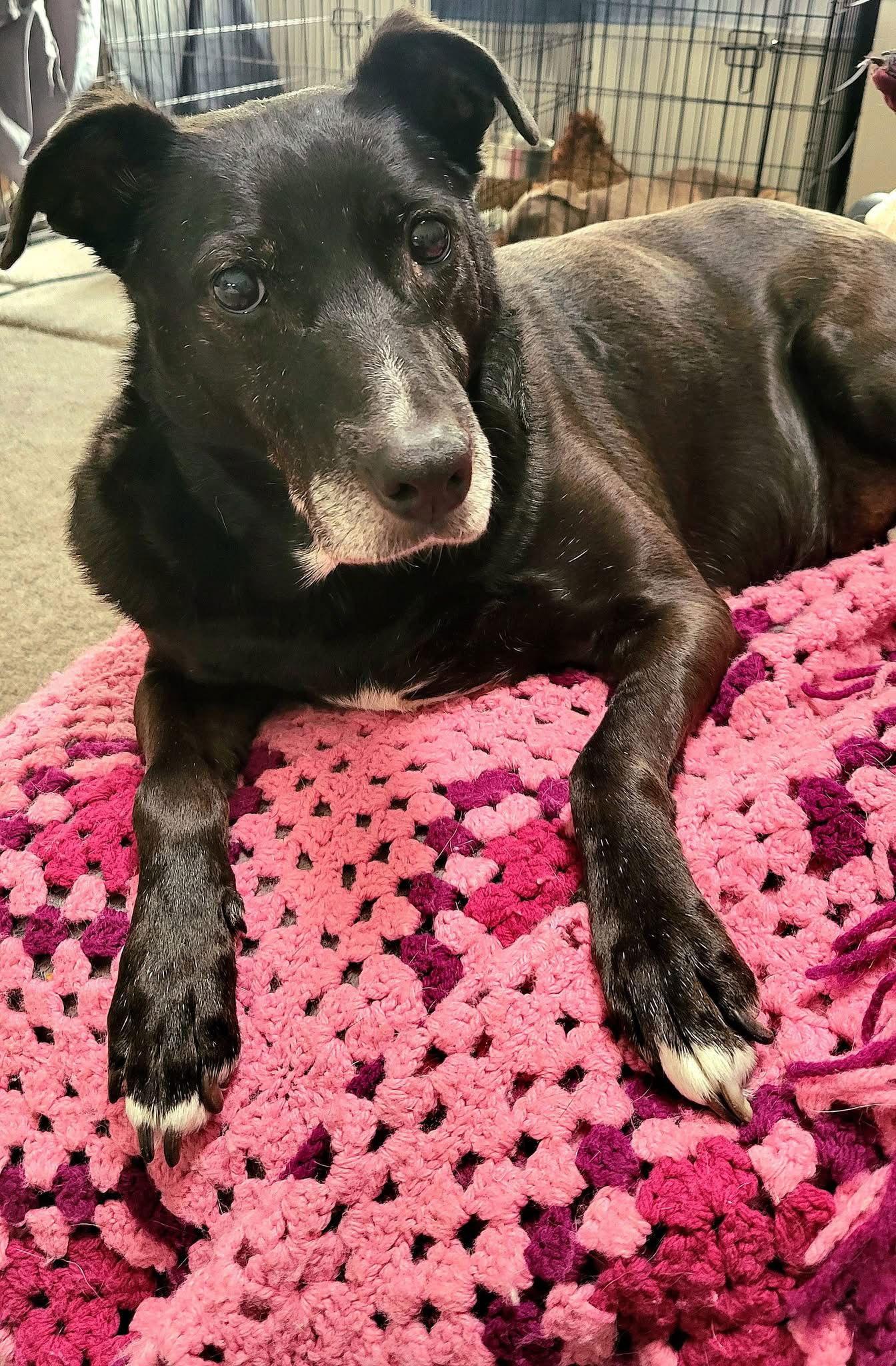 Stacy — thumbnail 2