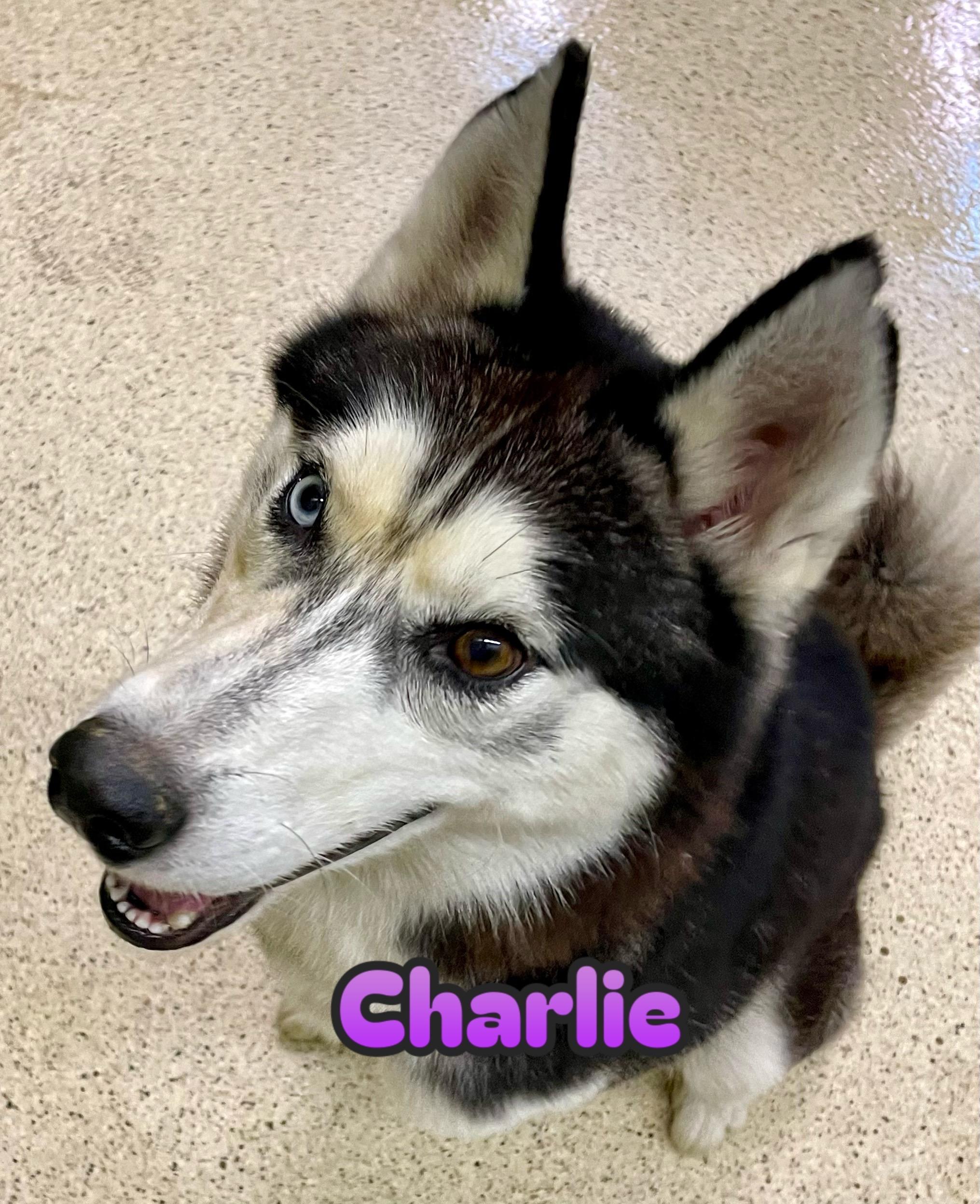 Charlie