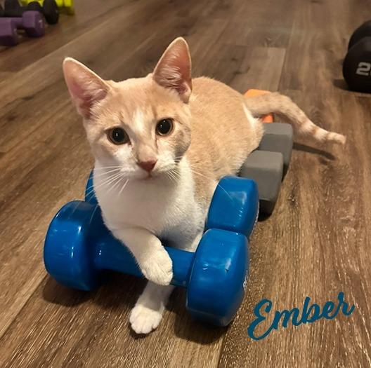 Ember #brother-of-Coal