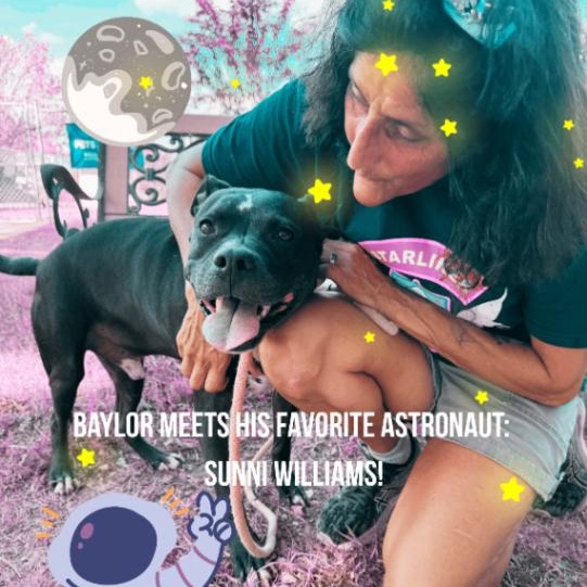 Baylor Banjo Morning Coffee Buddy — thumbnail 3