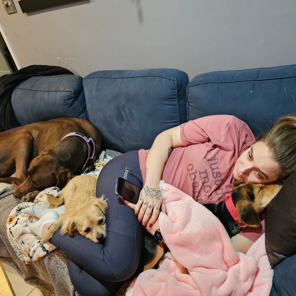 Willow (Benefactor Puppy) — thumbnail 4