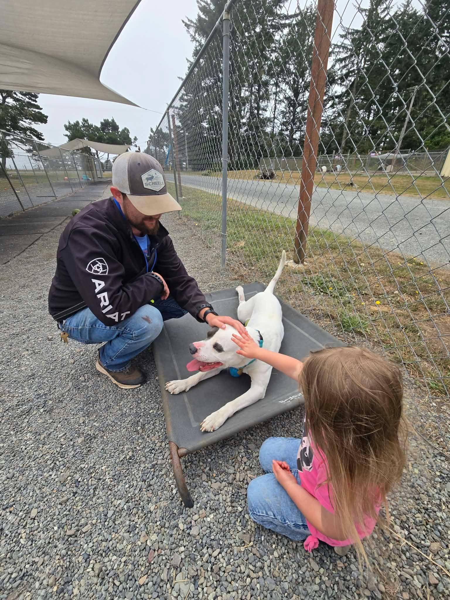Rambler, a Adoptable mixed breed in Crescent city, CA image 4/6