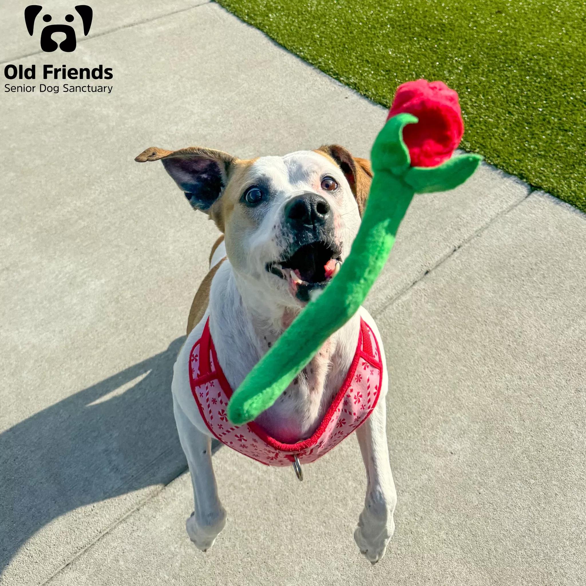 Maggie Jolene thumbnail 3