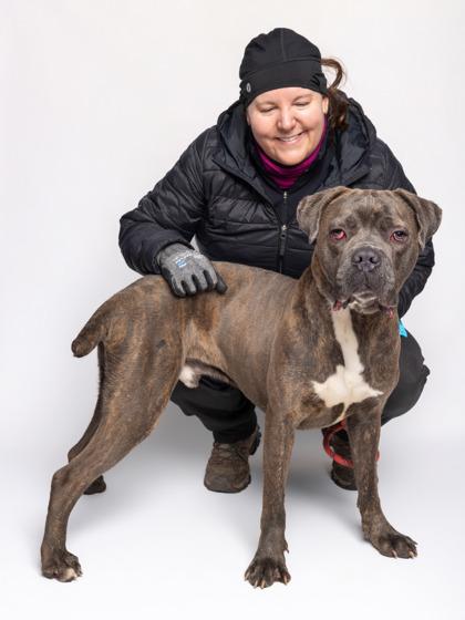 Petey — thumbnail 2