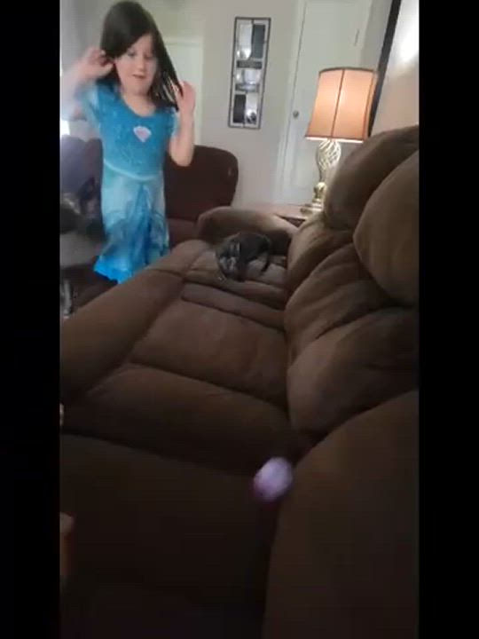 Enlarge Minnie, a Adopted mixed breed in Cordova, TN video 4/4