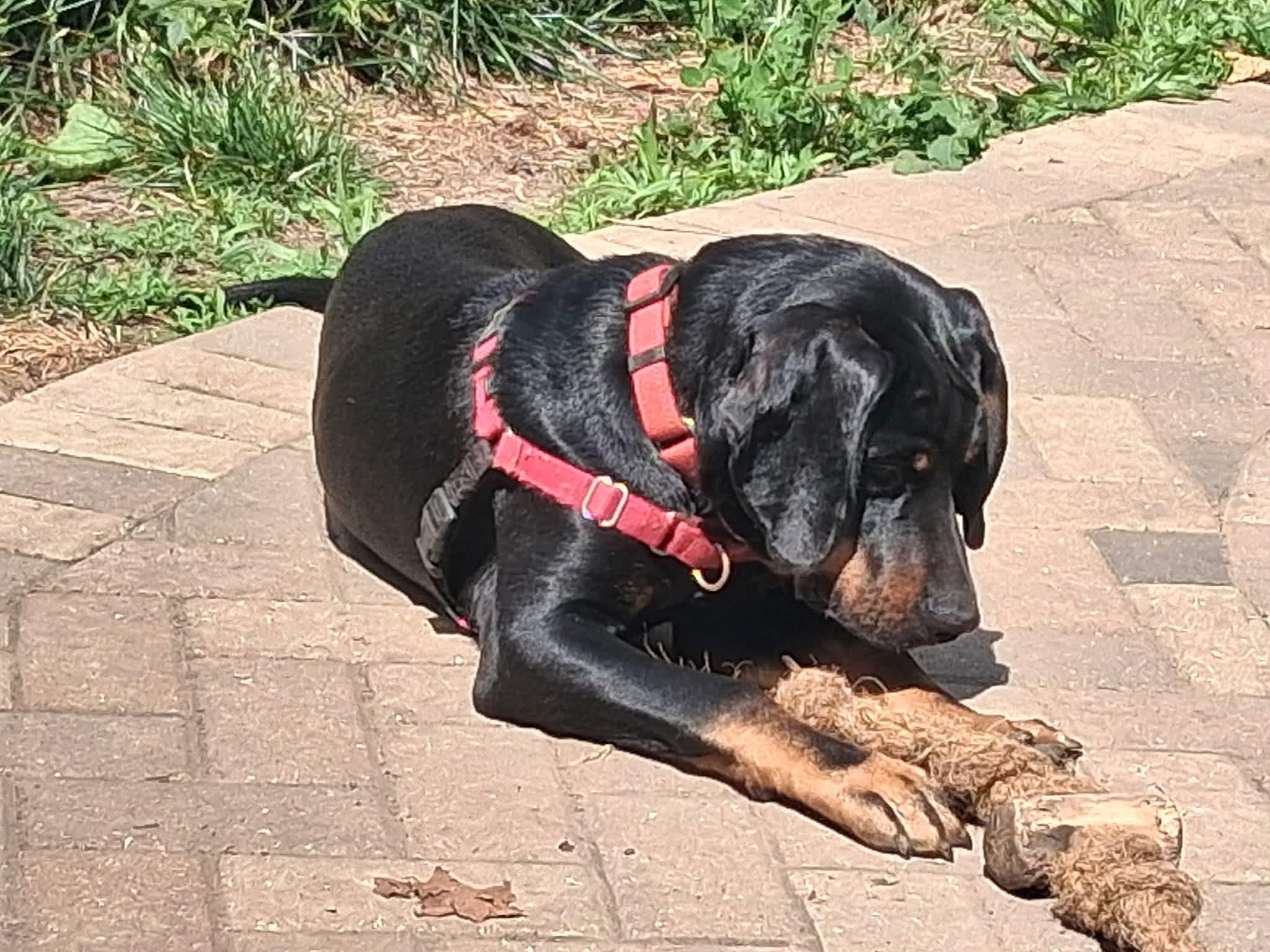 Gimli photo 3