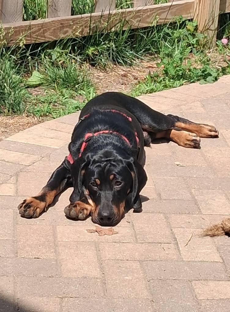 Gimli