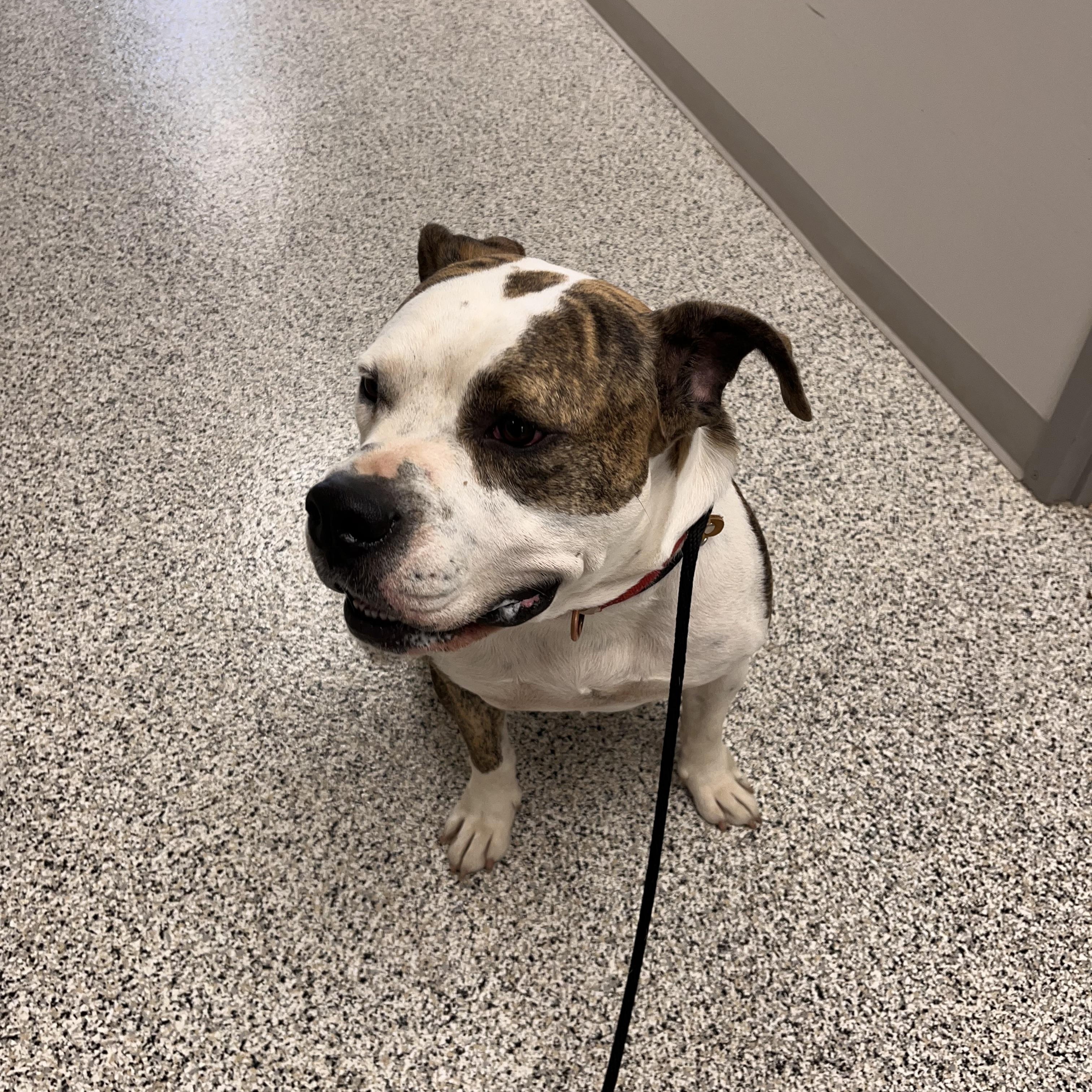 **FOUND**