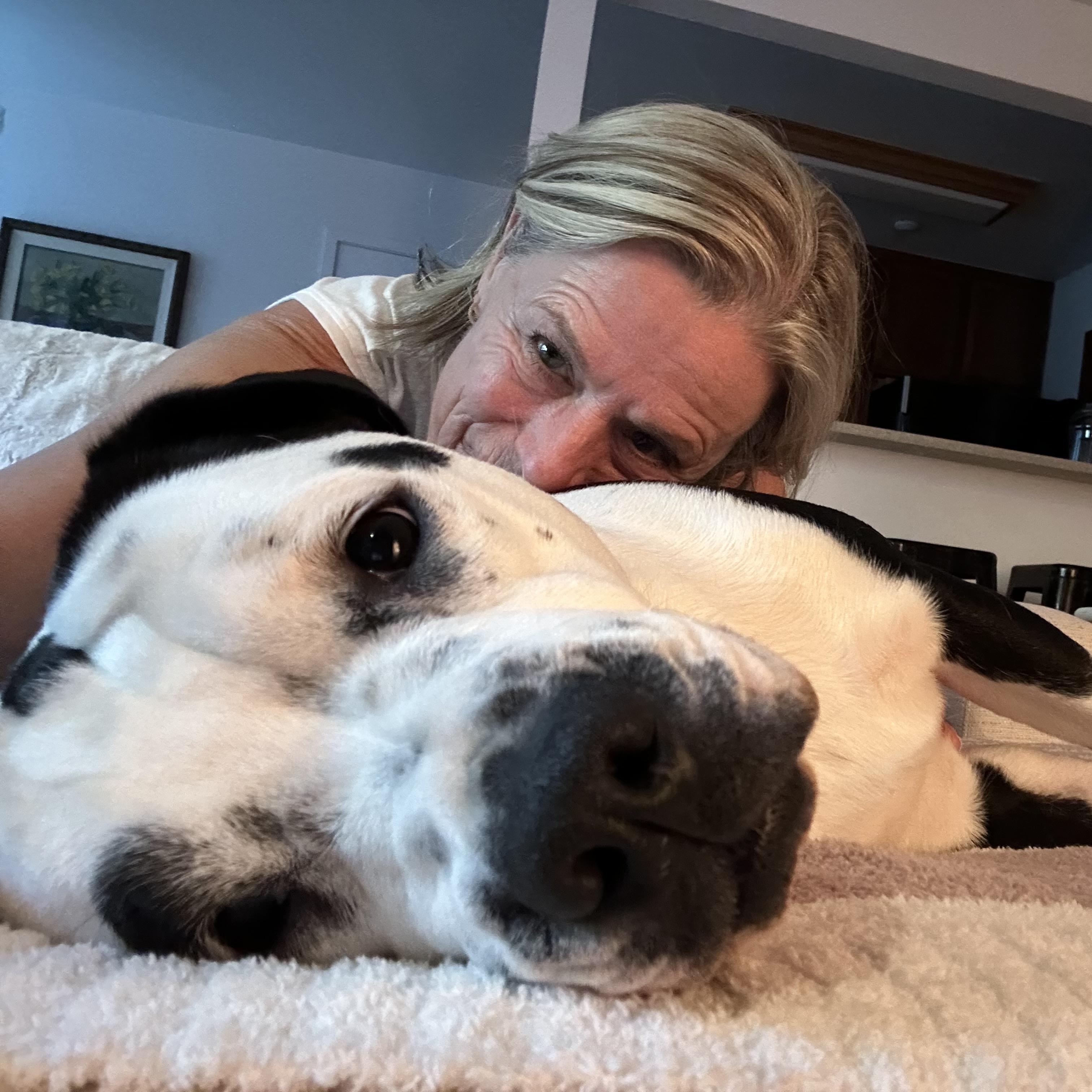 Daisy Muffin, a Adoptable mixed breed in Kensington, CA image 2/5